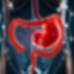 Illustration of bile pathways post-cholecystectomy