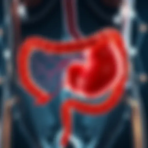 Bile Pathways After Gallbladder Removal Illustration of bile pathways post-cholecystectomy