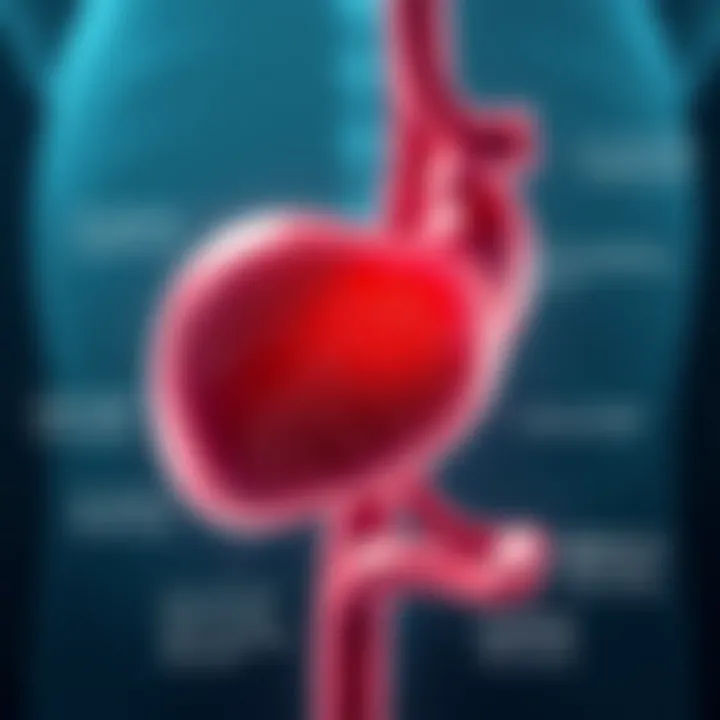 Diagnostic Challenges in Gallstone Detection Infographic on diagnostic challenges of gallstones