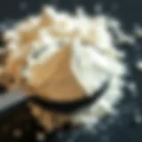 Detailed view of ISO whey protein powder in a scoop