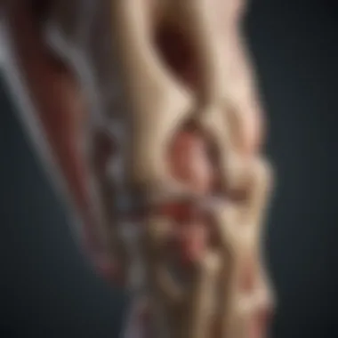 Knee Joint Anatomy and Discomfort Illustration showing the knee joint structure