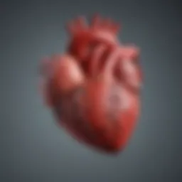 Diagram illustrating the progression of late stage heart failure