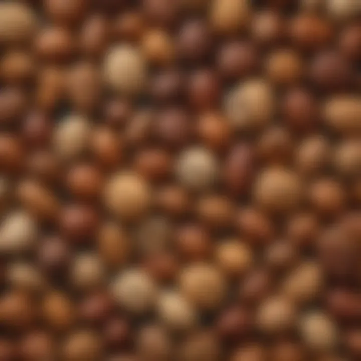 Diverse assortment of nuts displaying various textures and colors