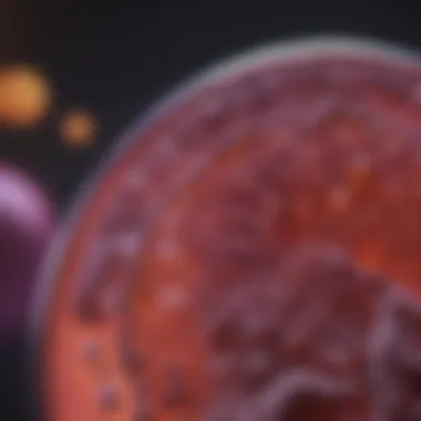 Visual guide to diagnostic methods for assessing pancreatic enzyme levels