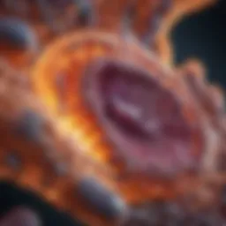 Representation of pancreatic enzymes functioning in the digestive system