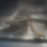 Conceptual depiction of a magnetic plate stirrer in action