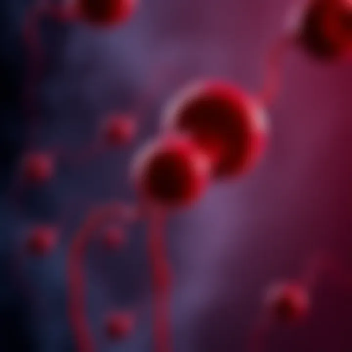 Illustration of blood coagulation process