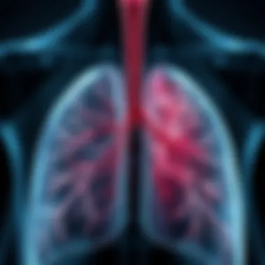 Graphical representation of lung interstitium affected by disease
