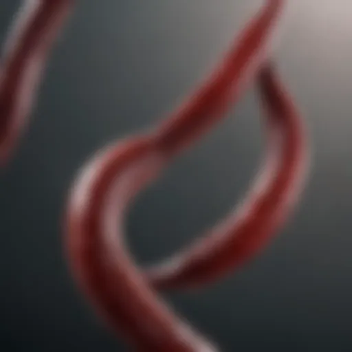 Genetic structure of sickle cell trait