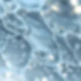 Texture and Composition of Silver Hydrogel Gel A close-up view of a silver hydrogel gel showcasing its unique texture and composition.