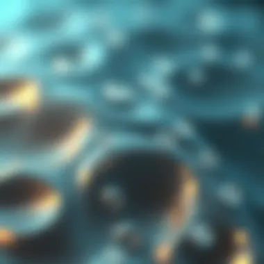 Mechanisms Enhancing Hydrogel Functionality Diagram illustrating the mechanisms through which silver enhances hydrogel functionality.