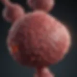 Understanding Stage 4 Metastatic Prostate Cancer: Is a Cure Possible? Introduction