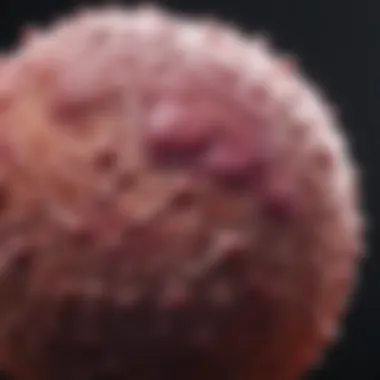 Notable Understanding Stage 4 Metastatic Prostate Cancer: Is a Cure Possible?