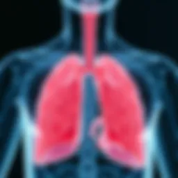 A detailed diagram illustrating the respiratory system affected by severe COPD.