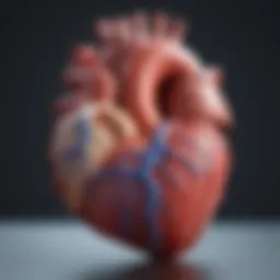 Illustration of heart anatomy highlighting areas affected by ablation