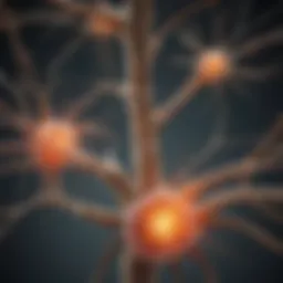 Illustration depicting the central nervous system affected by Multiple Sclerosis