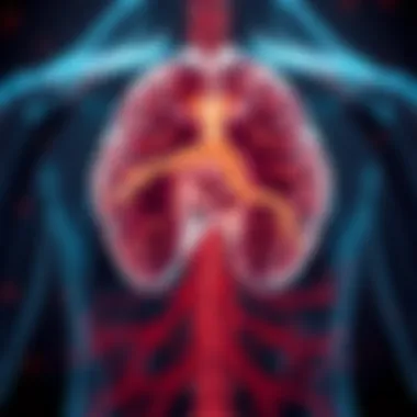 Diagram illustrating the cerebral blood flow