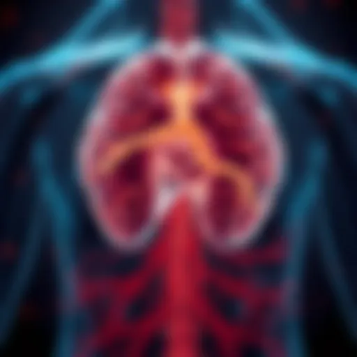 Diagram illustrating the cerebral blood flow