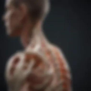 Diagram depicting kyphosis and its spinal implications