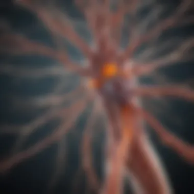 Illustration depicting the central nervous system affected by multiple sclerosis.