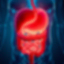 Close-up view of a healthy digestive system illustration