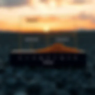 Conceptual diagram illustrating factors influencing sedimentation rate outcomes.