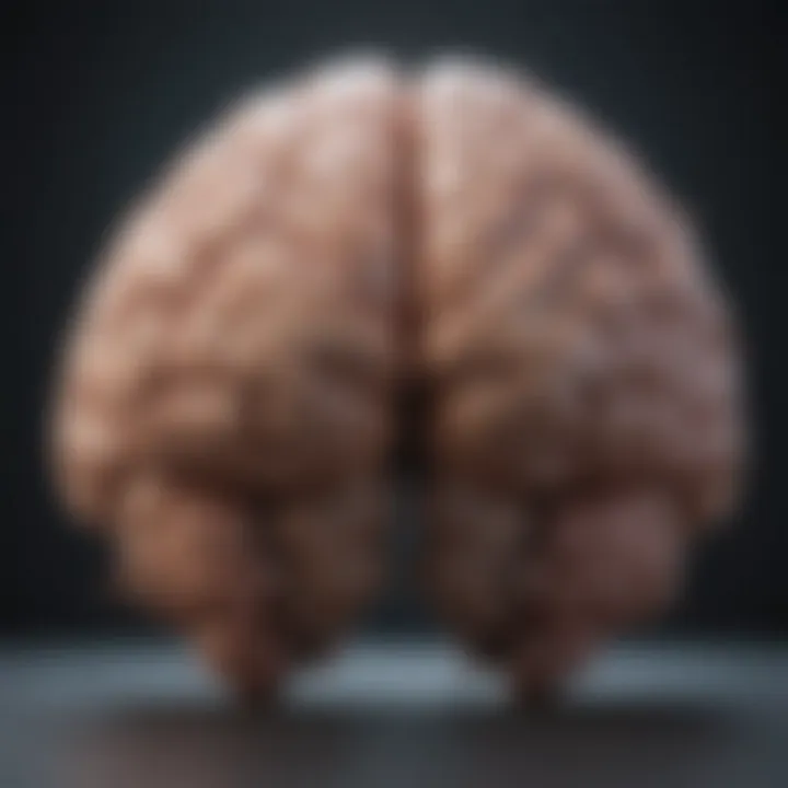 Conceptual image of emotional brain response