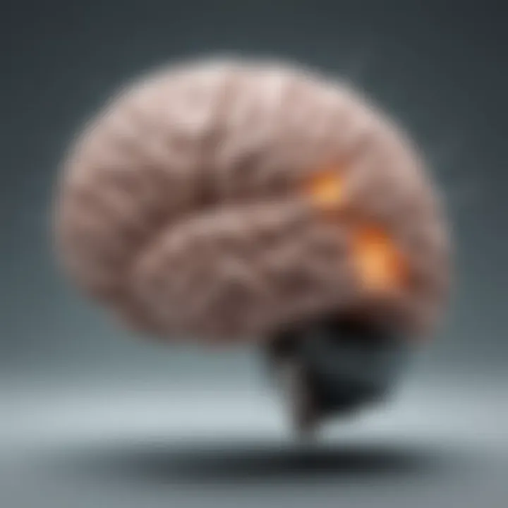 An illustration of a brain with highlighted areas, depicting cognitive effects of a hangover