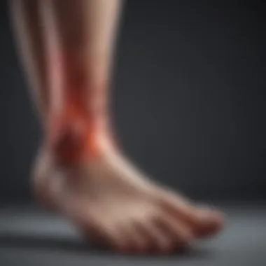 Prevention Strategies for Diabetic Foot Complications Diagram illustrating prevention of diabetic foot complications