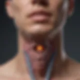 Diagram illustrating the location and function of the thyroid gland in the body
