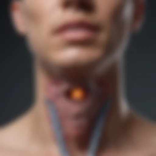Diagram illustrating the location and function of the thyroid gland in the body