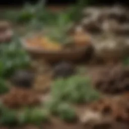 Herbal ingredients of Xue Fu Zhu Yu Tang for canine health