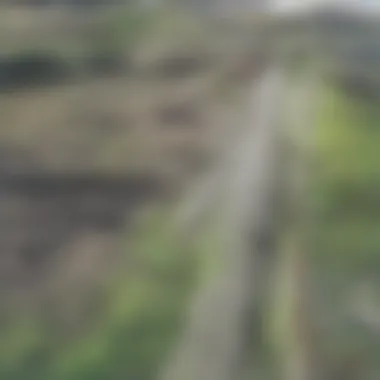 Diverse Irrigation Techniques for Crop Sustainability Crop fields exhibiting various irrigation techniques