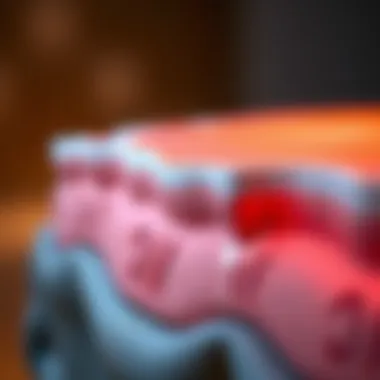 Wound Healing Stages with Maxorb Alginate Illustration of wound healing stages facilitated by alginate