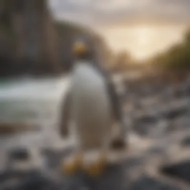 A yellow-eyed penguin on the rocky shoreline, showcasing its distinctive features.